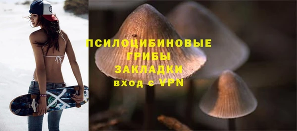 хмурый Куйбышев