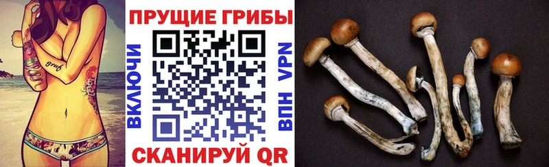 где продают наркотики  Долинск  Псилоцибиновые грибы прущие грибы 