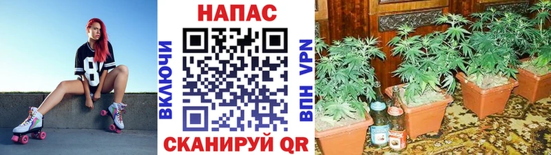 цены наркотик  Долинск  Бошки марихуана тримм 